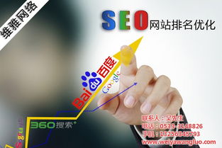 臨淄優(yōu)化 優(yōu)化技術(shù) 維雅網(wǎng)絡(luò) 認(rèn)證商家 高清圖片 高清大圖